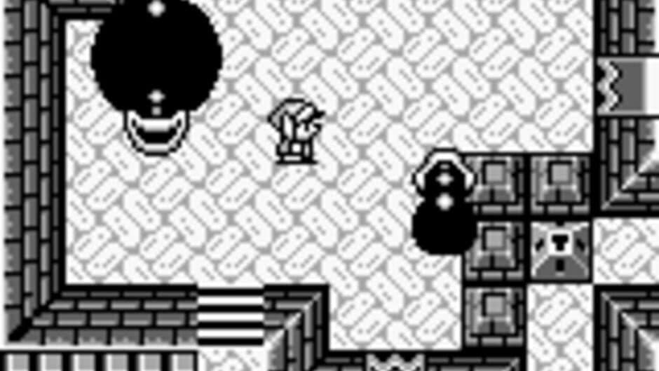 The Legend of Zelda: Link's Awakening screenshot 8