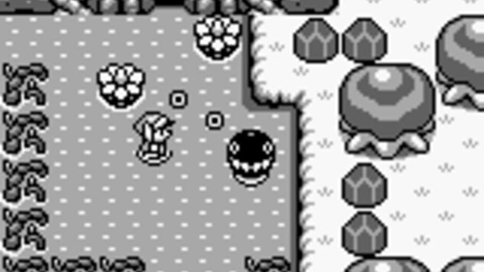 The Legend of Zelda: Link's Awakening screenshot 2