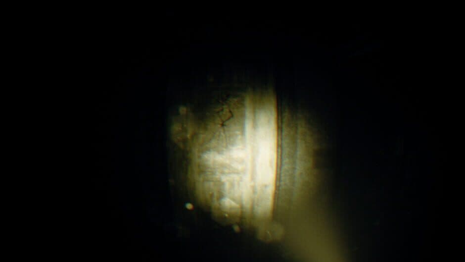 Rec: Beyond The Lens screenshot 3