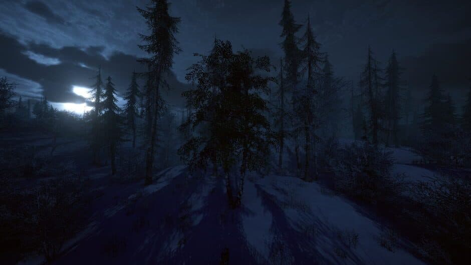 Birch Simulator screenshot 7