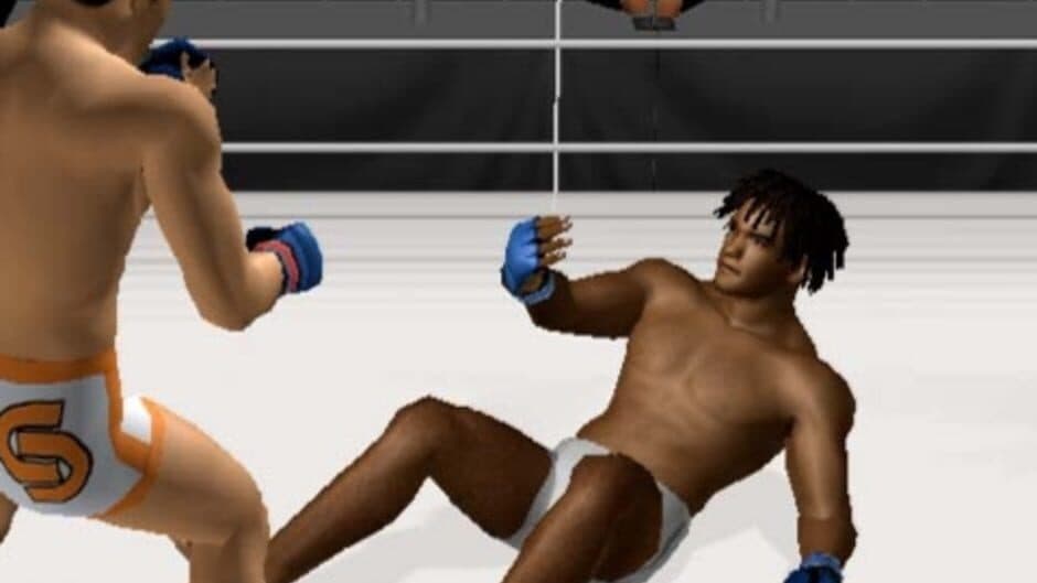 Pride FC: Fighting Championships screenshot 8
