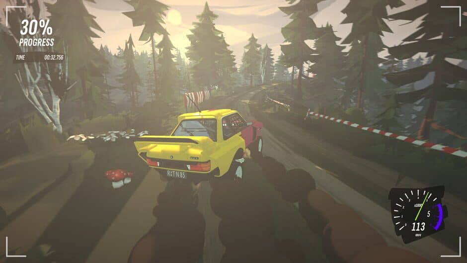 #Drive Rally screenshot 9