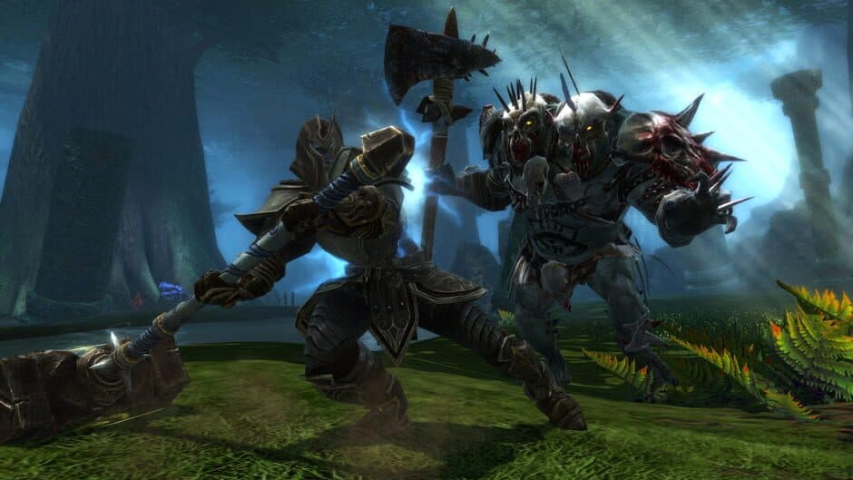 Kingdoms of Amalur: Reckoning screenshot 5