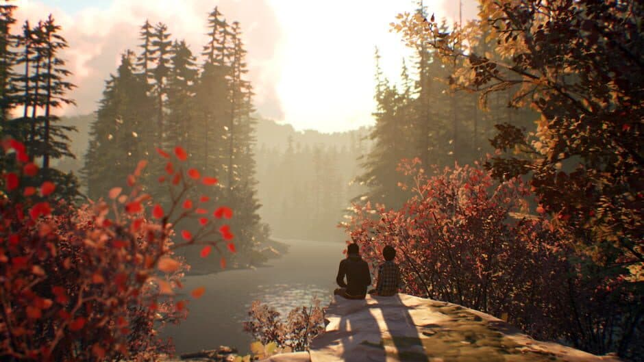 Life Is Strange 2 screenshot 5