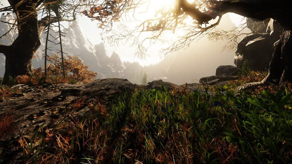 The Land of Pain screenshot 5