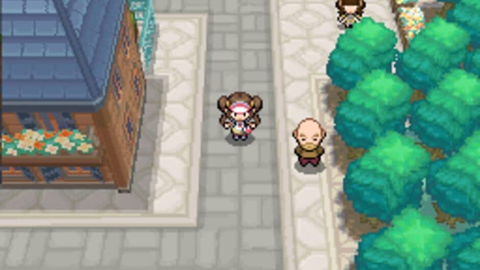 Pokémon Black Version 2 screenshot 9