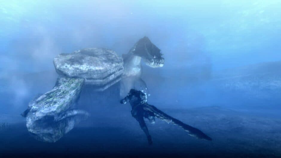 Monster Hunter Tri screenshot 6